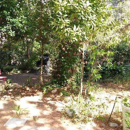 Primula Uno Apartment *