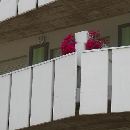 Apartment Primula Uno *